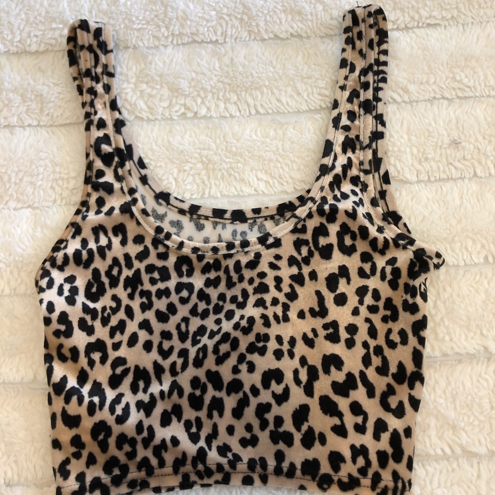 F21 Cheetah Tank
